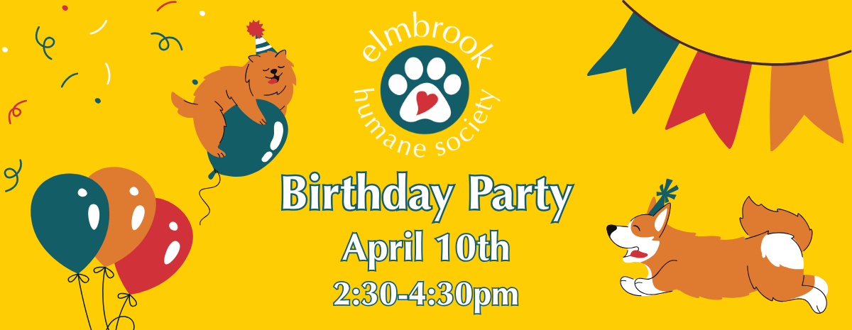 Birthday Party - 04/10/27